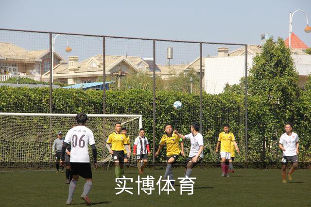 实博体育公司简介图片